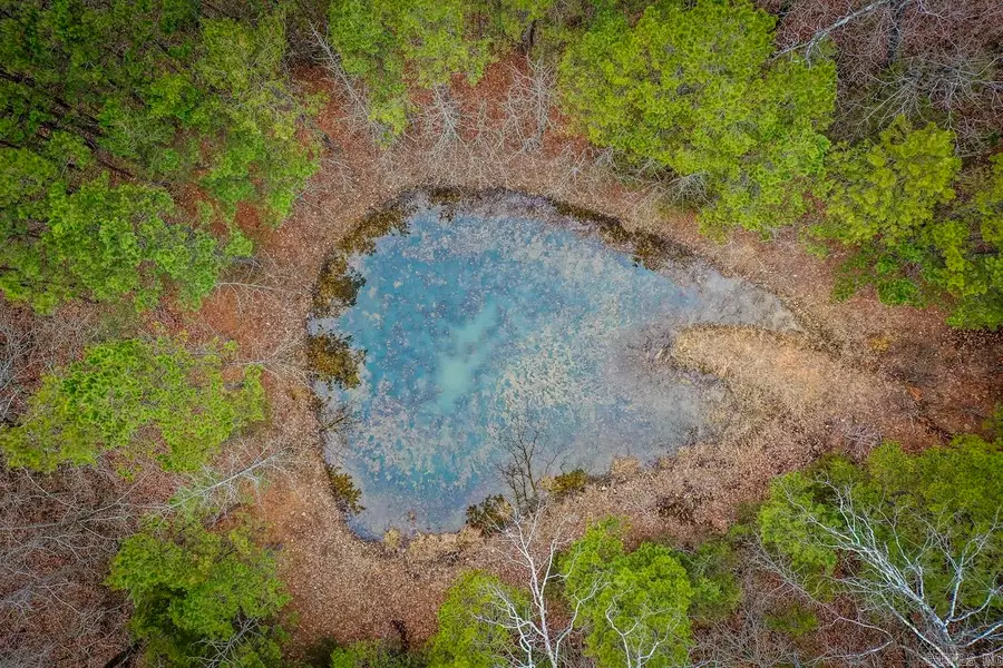 00 Florence Road, Edgemont, AR 72044 - Image #2