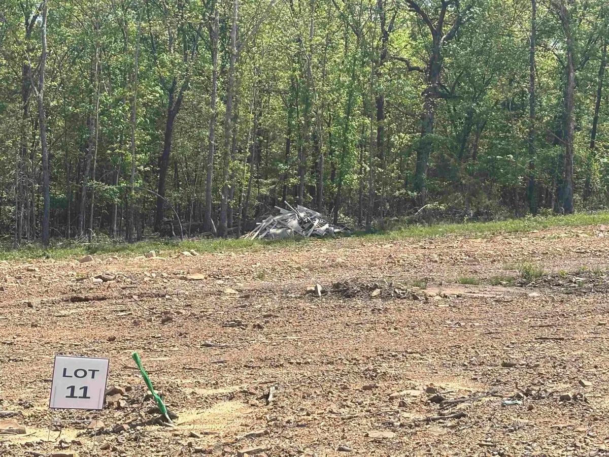 Lot 11 Madeleine Circle, Austin, AR 72007 - Image #1