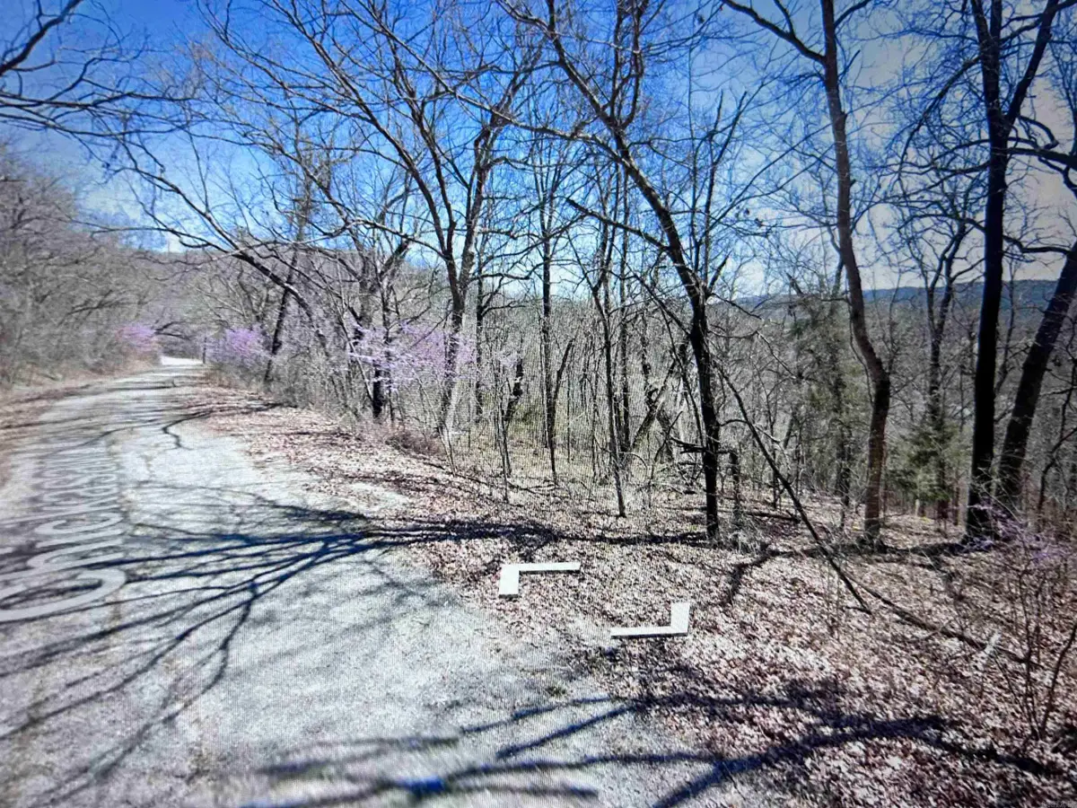Lot 31 Chickasaw Lane, Holiday Island, AR 72631 - Image #1