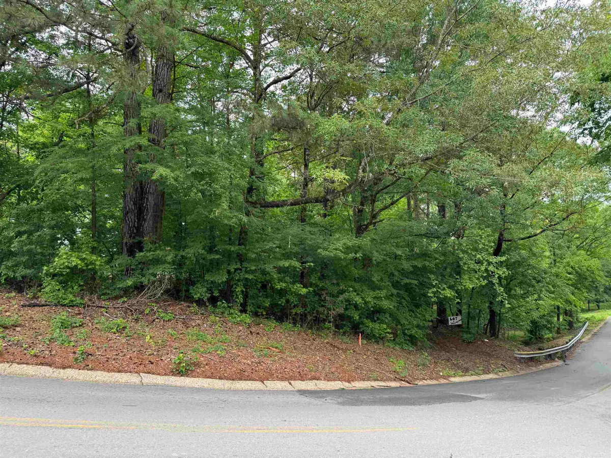 Lot 2 Woodland Drive, Benton, AR 72019 - Image #1