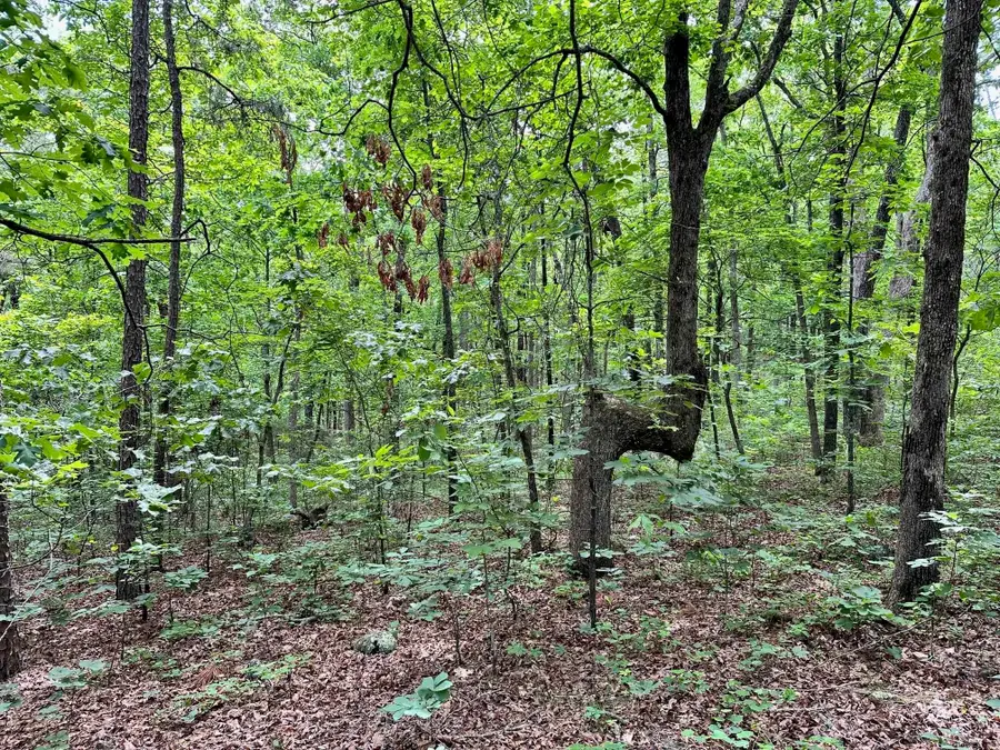 00 Pryor Mt. Road Roads, Quitman, AR 72131 - Image #2