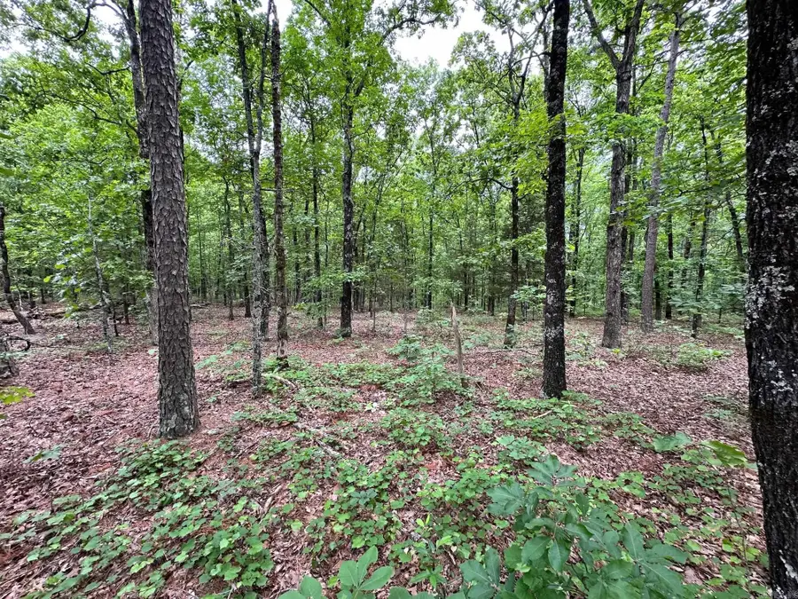 00 Pryor Mt. Road Roads, Quitman, AR 72131 - Image #3