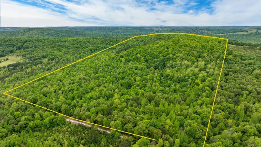 1505 Brushy Creek Road, Mountain View, AR 72560 - Image #2