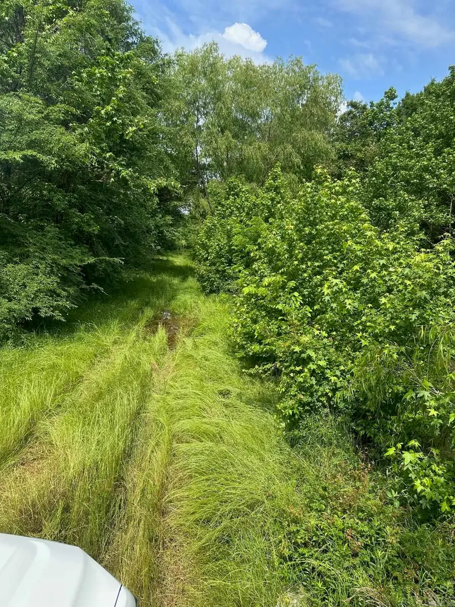 Hwy 189 N, Hamburg, AR 71646 - Image #2