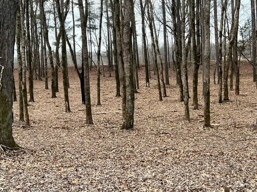 00 Sunshine Lane, Pangburn, AR 72121 - Image #3