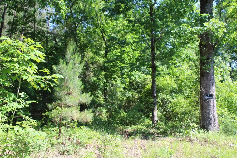 Coulter Lane, Nashville, AR 71852 - Image #2