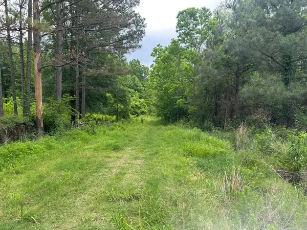 Ashley Rd 482, Fountain Hill, AR 71642