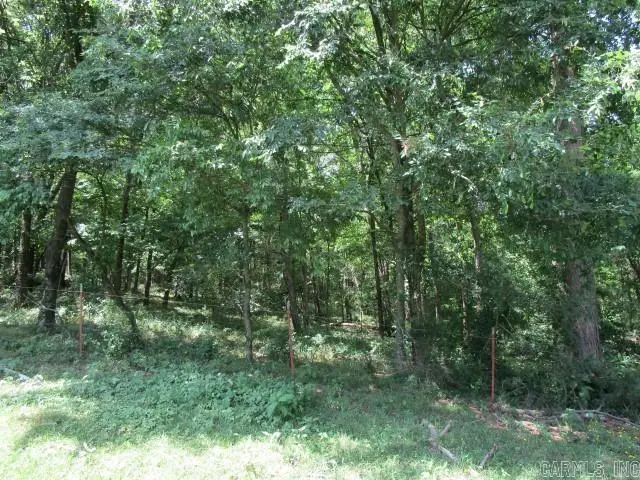 536 Battlehill Road, Umpire, AR 71971 - Image #3