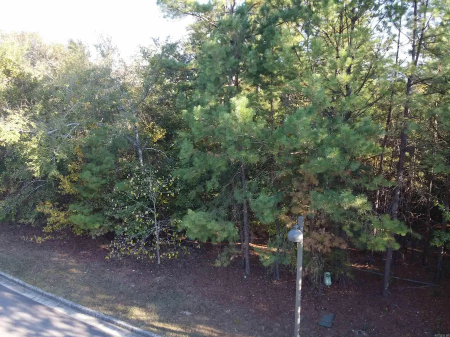 000 Dellmere, Hot Springs, AR 71913 - Image #3