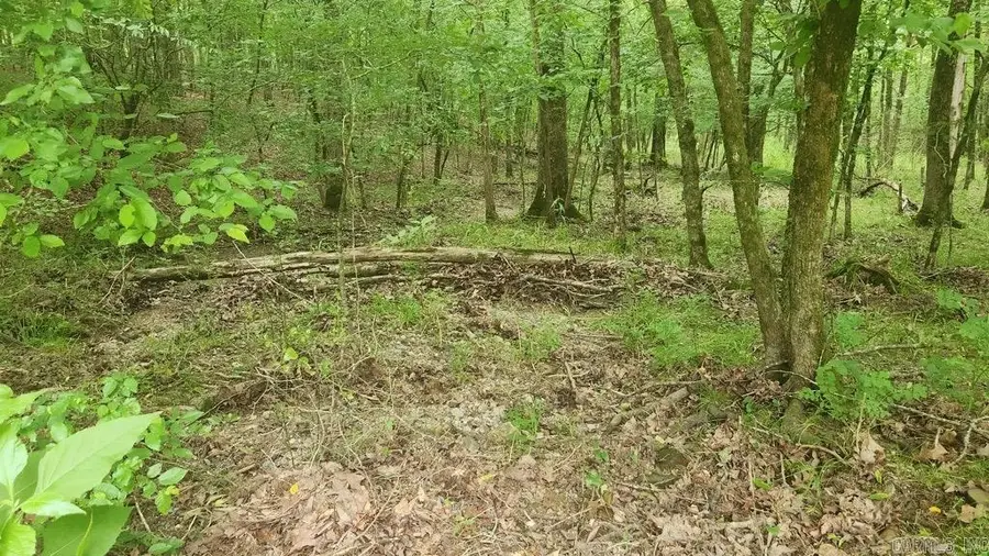 TBD Overcrest Dr, Sims, AR 71969 - Image #3