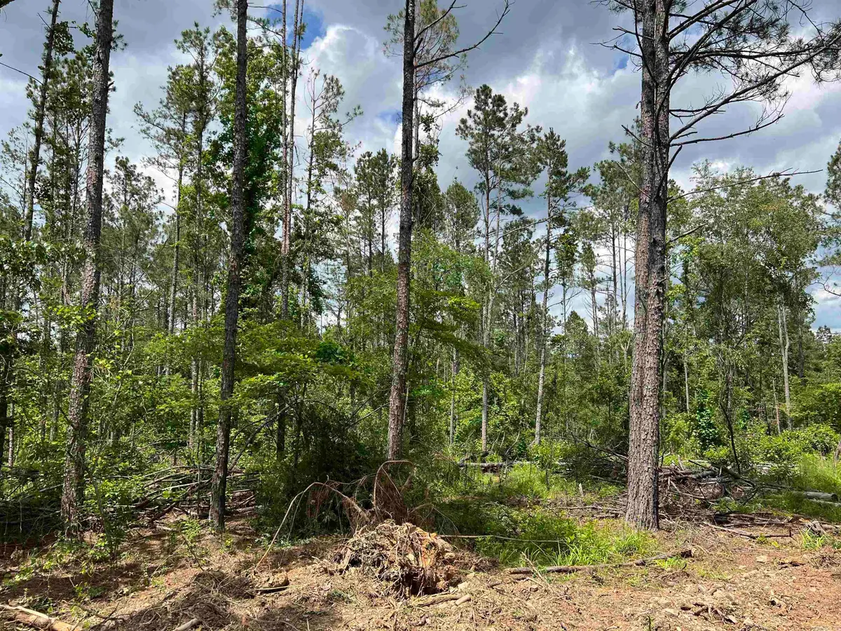 xx Hwy 369, Amity, AR 71921 - Image #1