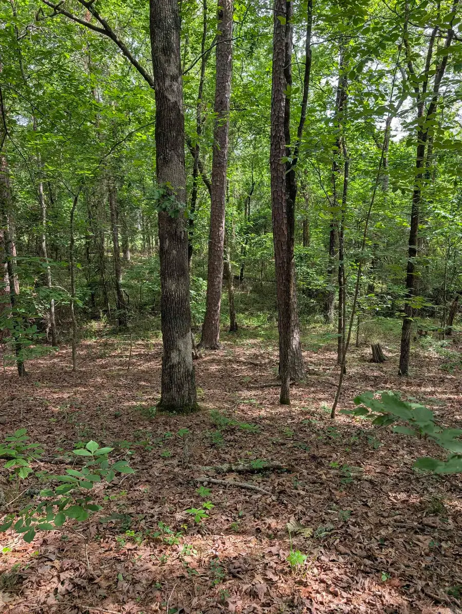 Address Withheld By Seller, Hot Springs Village, AR 71909 - Image #2