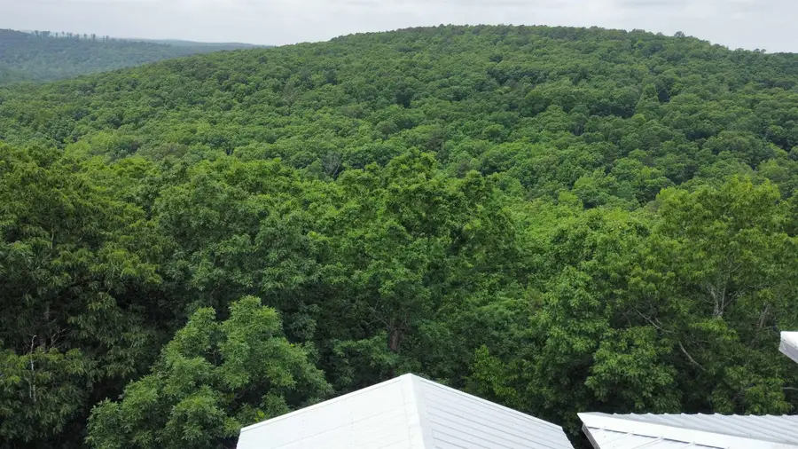 1349 Kahoka Road, Mountain View, AR 72560 - Image #3