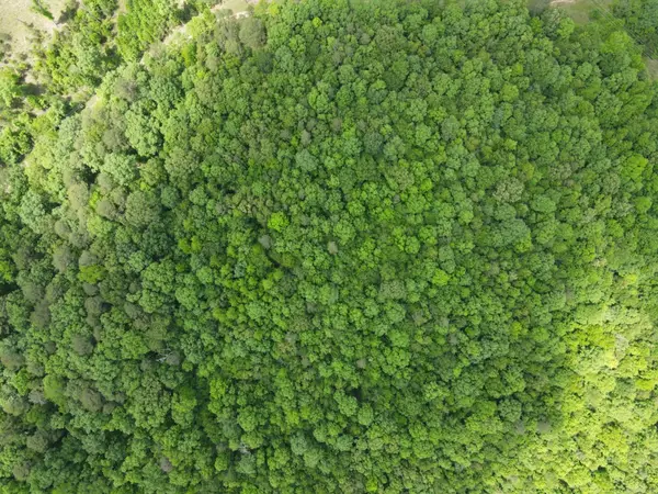 Lot 20 Ukn April Ln, Wickes, AR 71973