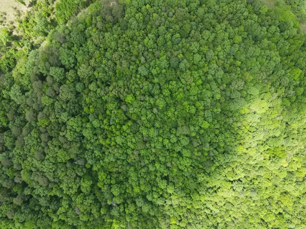 Lot 21 Unk April Ln, Wickes, AR 71973