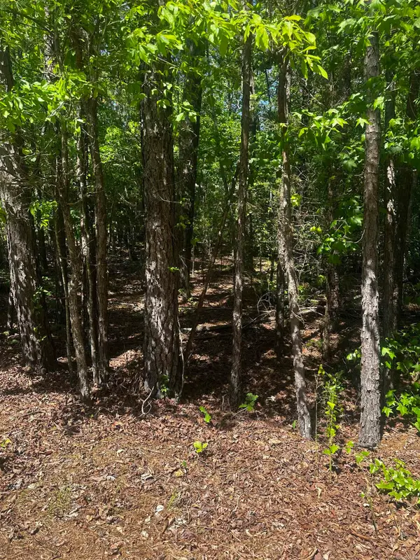 23 Andorra Circle, Hot Springs Village, AR 71909