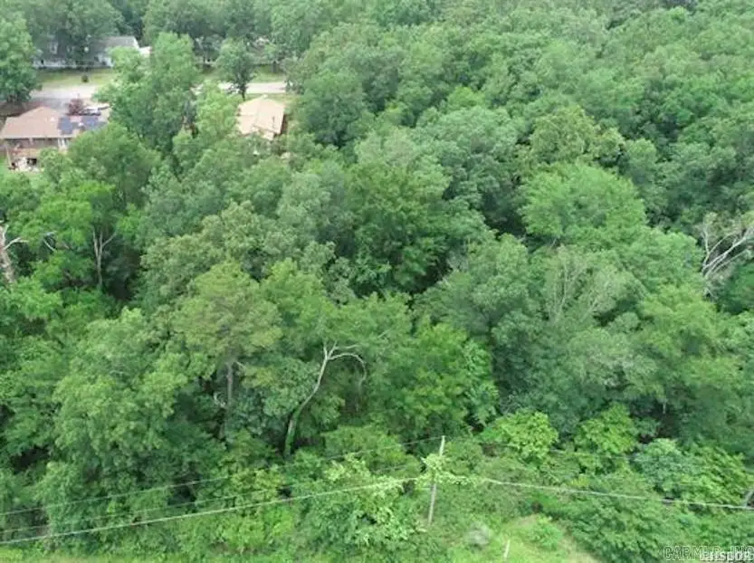 xxx Lakeshore Drive, Hot Springs, AR 71913 - #1