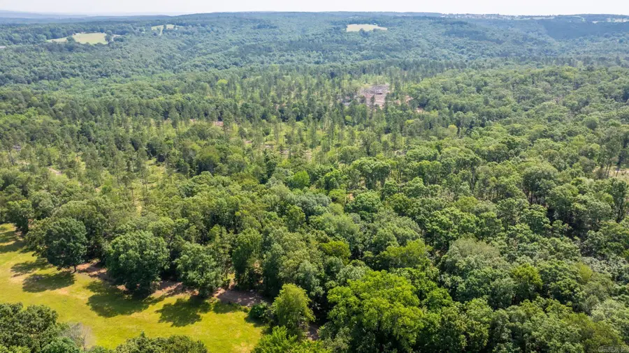 Tract 2 Harmony Mountain Road, Clinton, AR 72031 - Image #2