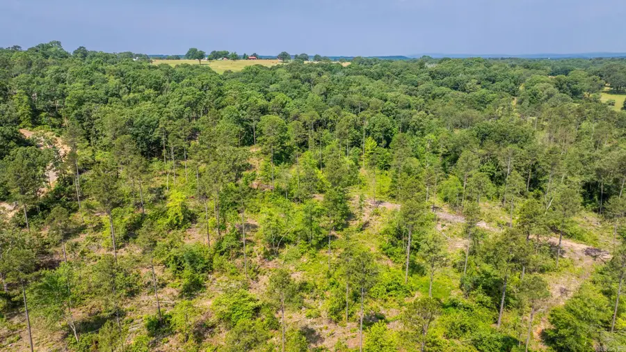 Tract 2 Harmony Mountain Road, Clinton, AR 72031 - Image #3