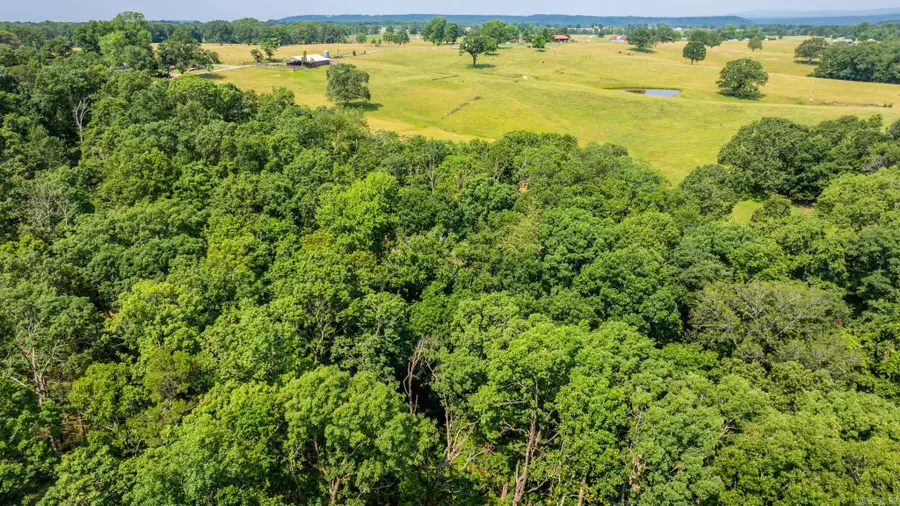 Tract 10 Harmony Mountain Road, Clinton, AR 72031 - Image #3