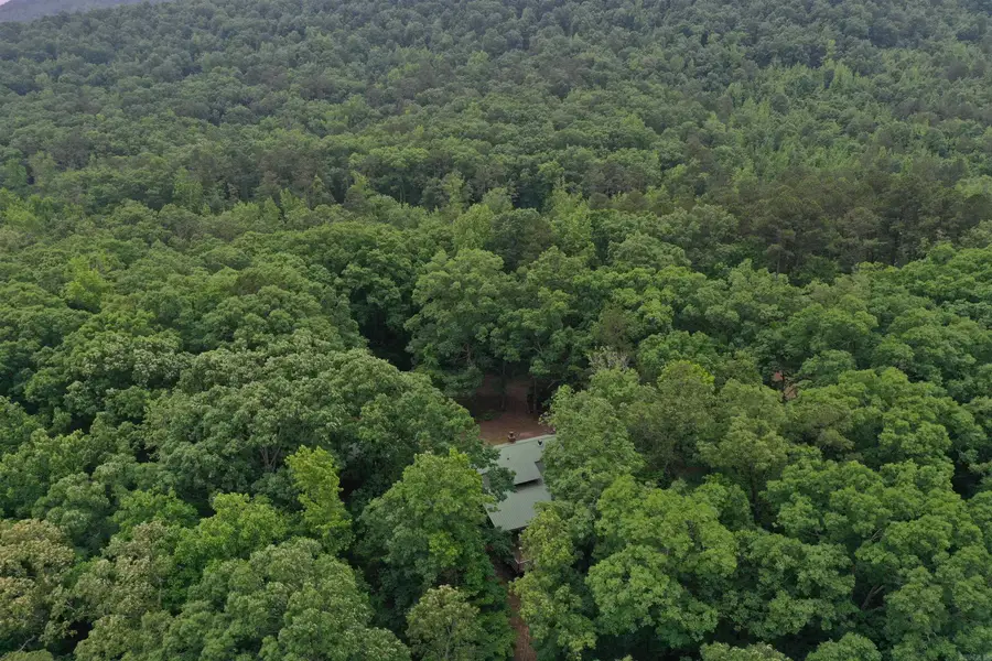 32 Angels Way, Caddo Gap, AR 71935 - Image #3