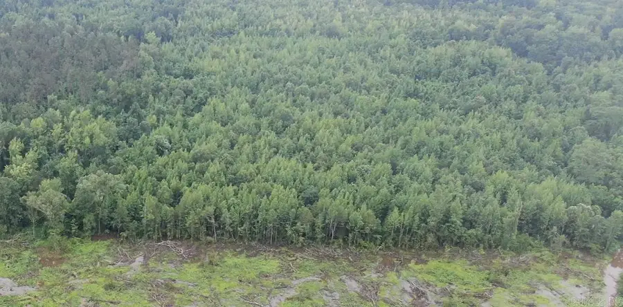 Rowell Rd, Rowell, AR 71665 - Image #3