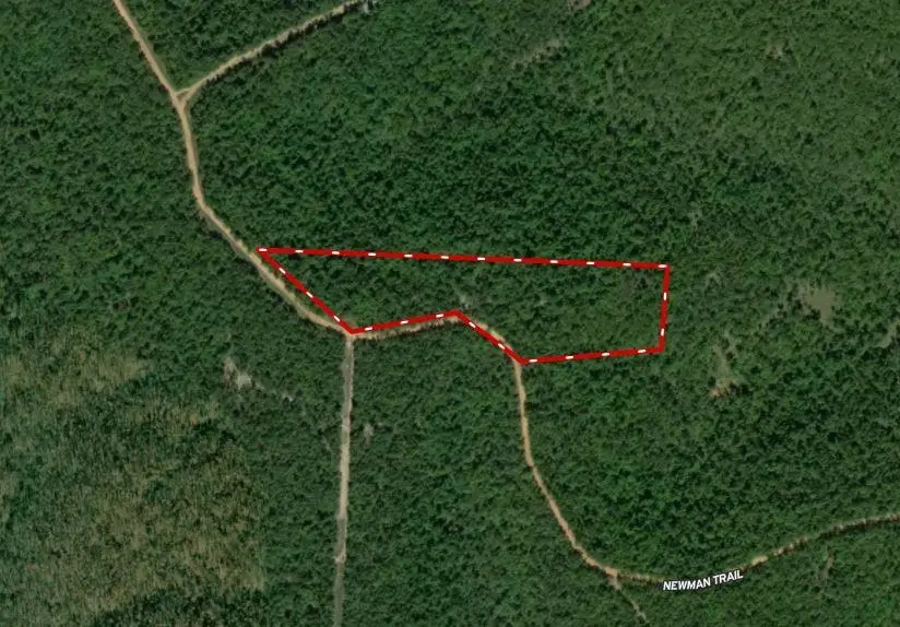 Newman Trail, Williford, AR 72482 - Image #2