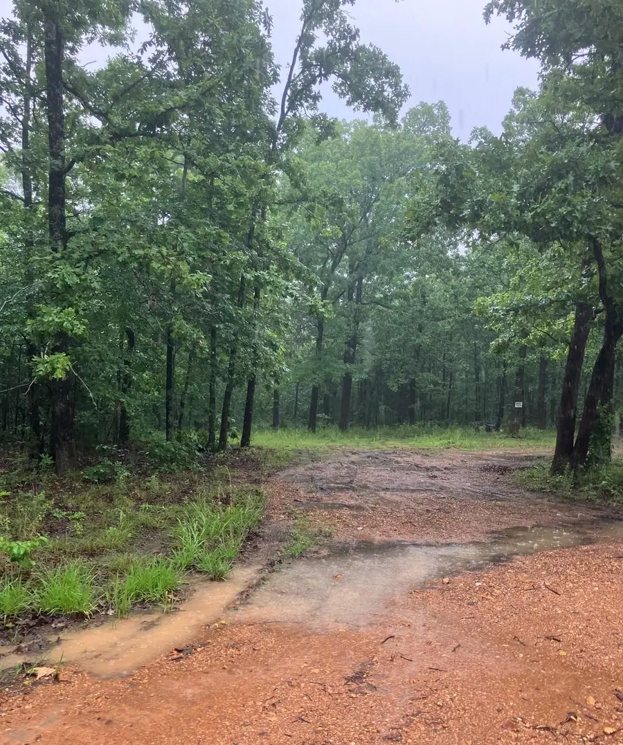Newman Trail, Williford, AR 72482 - Image #3
