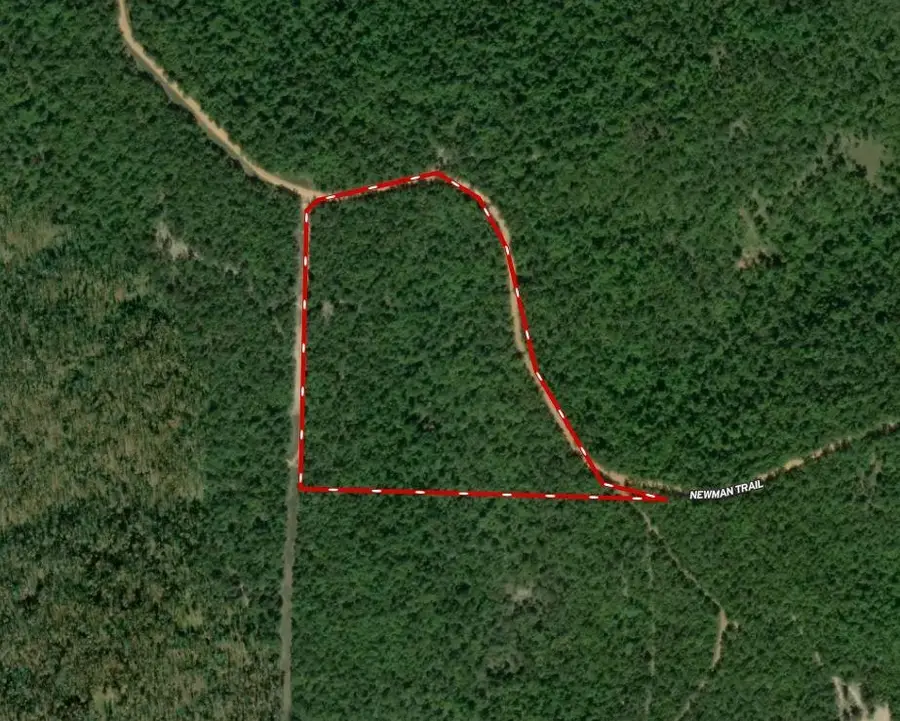 000 Newman Trail, Williford, AR 72482 - Image #2