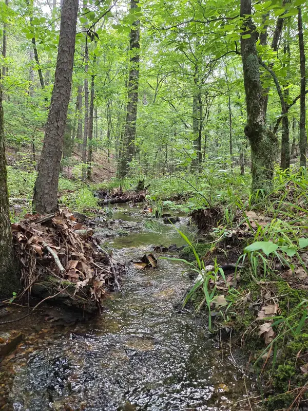 301 Chaparral Lane, Mena, AR 71953