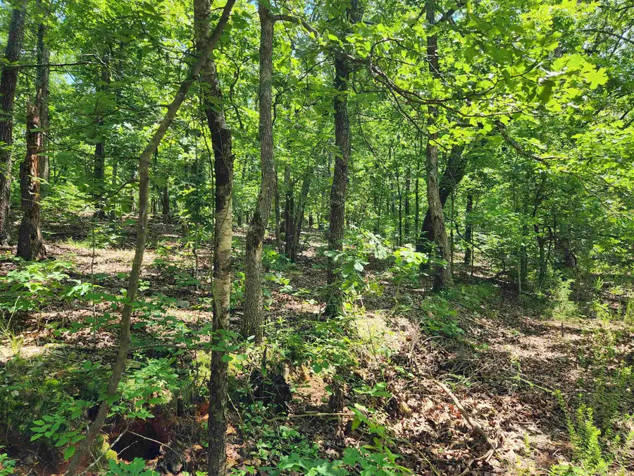 L-14, B-4 Piute Drive, Cherokee Village, AR 72529 - Image #2