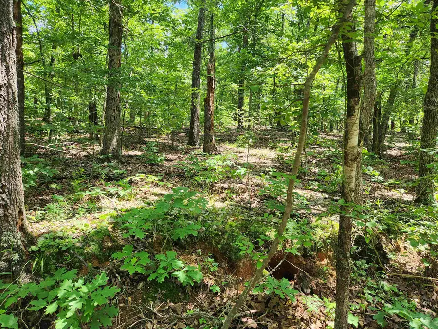 L-14, B-4 Piute Drive, Cherokee Village, AR 72529 - Image #3