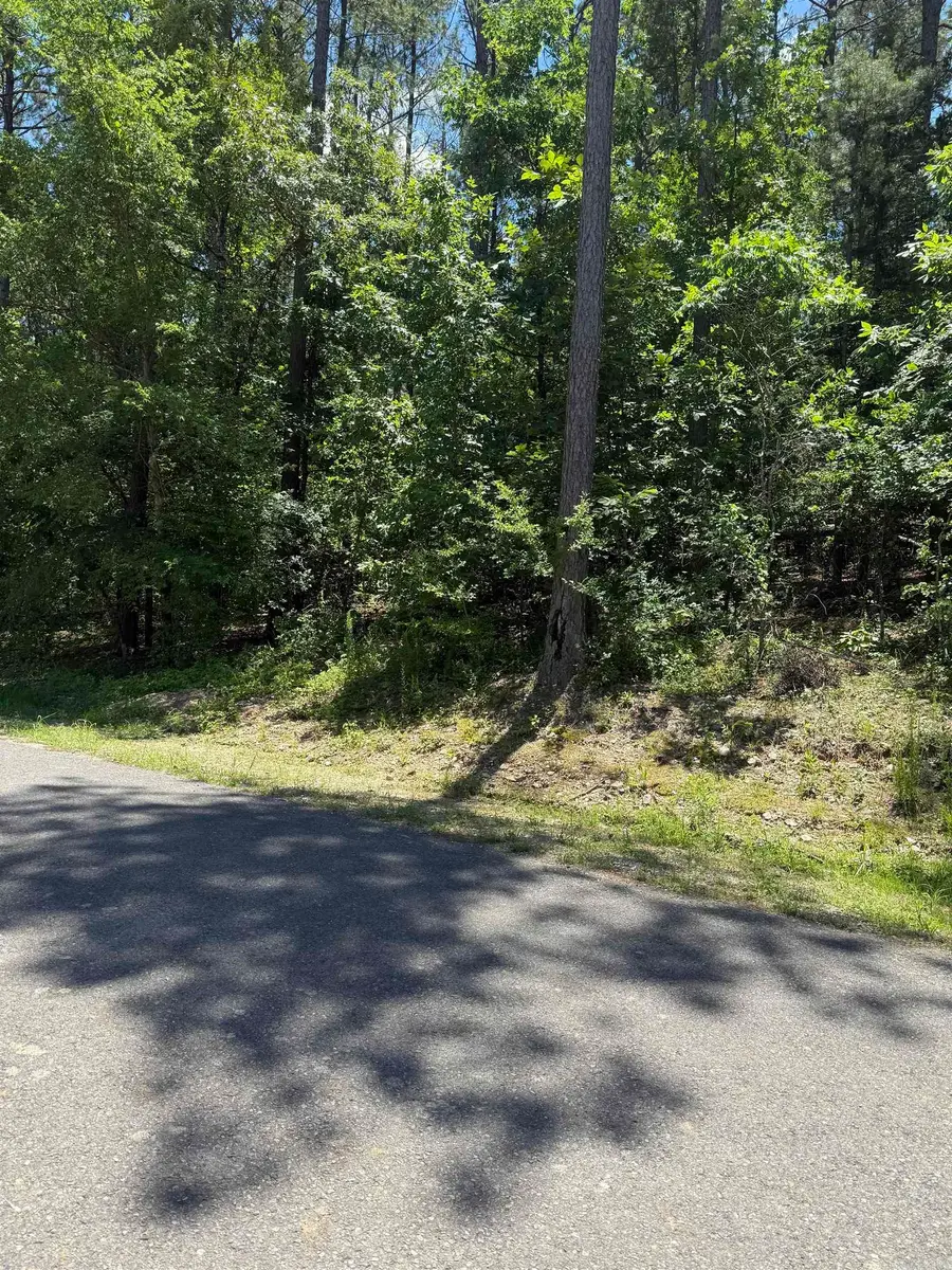 68 Manzanares Drive, Hot Springs Village, AR 71909 - Image #3