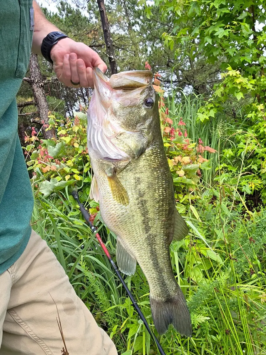 816 Winrock Drive, Morrilton, AR 72110 - Image #2