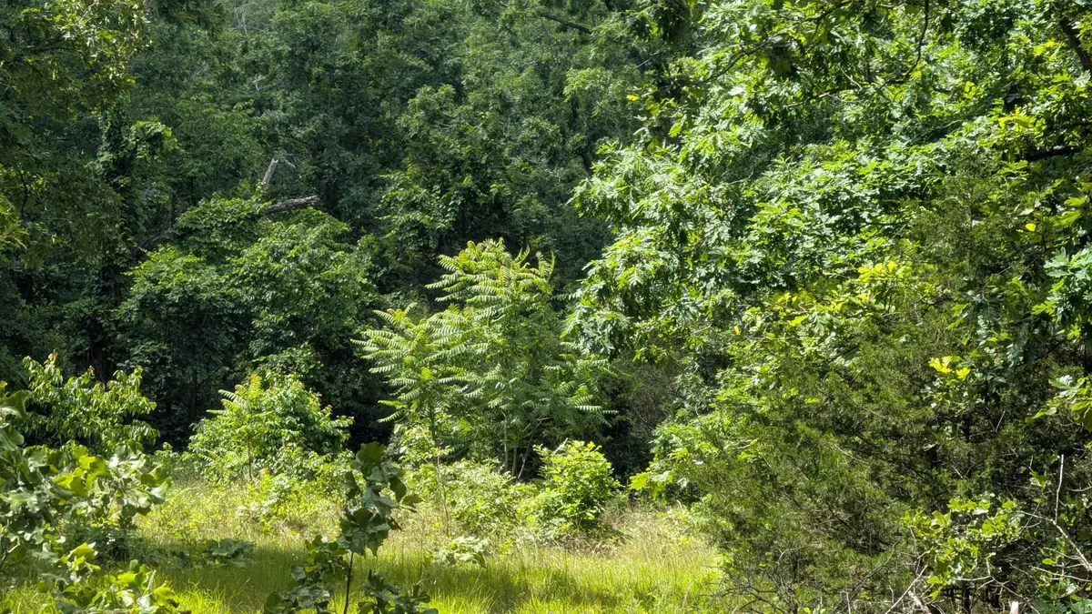 102 Basswood Lane, Horseshoe Bend, AR 72512 - Image #1