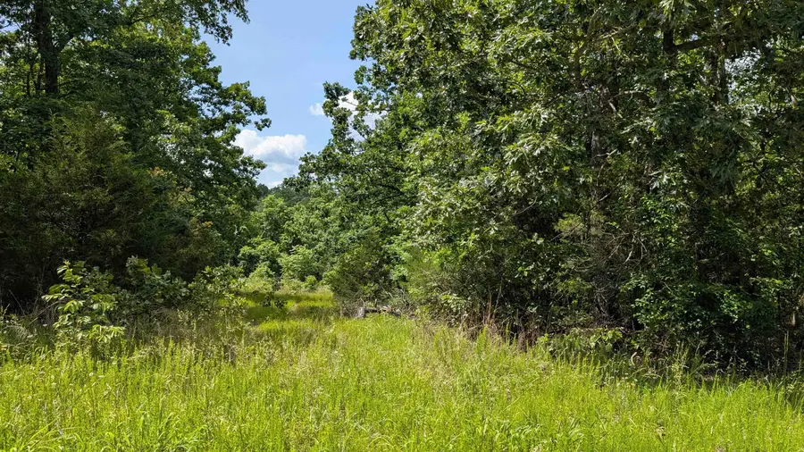 102 Basswood Lane, Horseshoe Bend, AR 72512 - Image #3