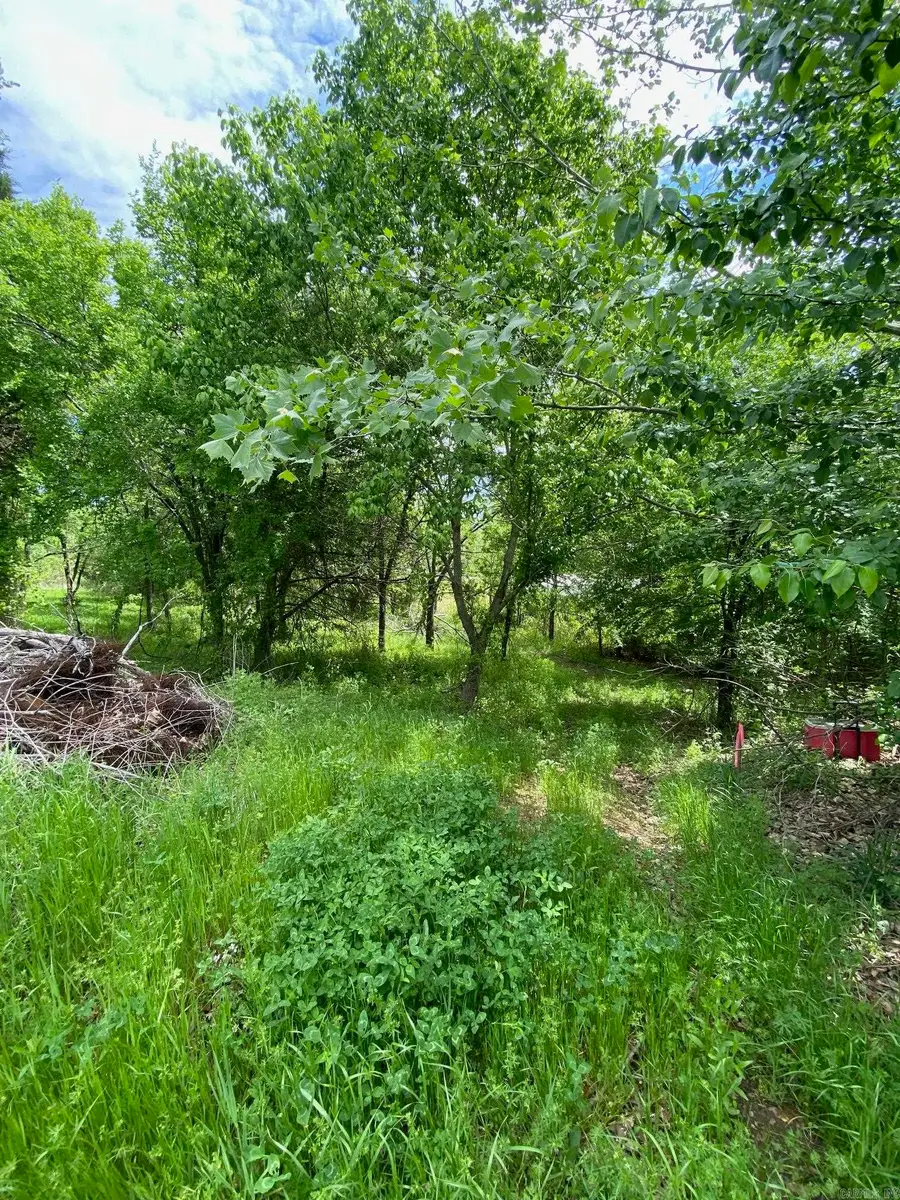 Lot 16 & 17 Autumn Lane, Beebe, AR 72012 - Image #2