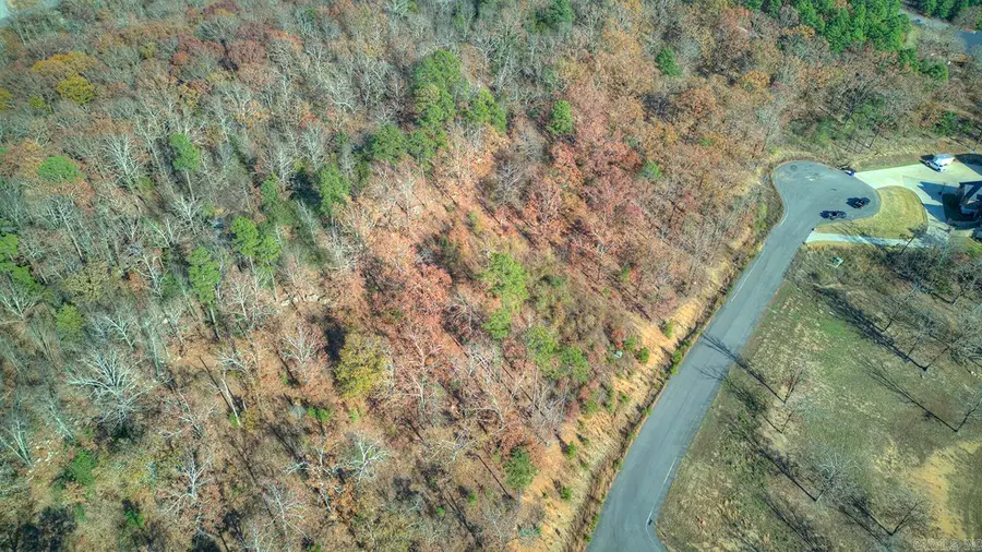 1320 Sawyer Lane, Conway, AR 72032 - Image #2