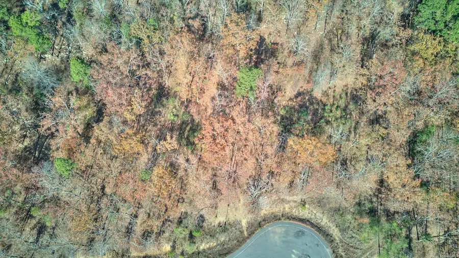 1320 Sawyer Lane, Conway, AR 72032 - Image #3