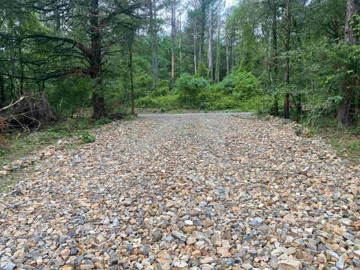 TBD2 Stevenson Road, Pencil Bluff, AR 71965 - Image #1