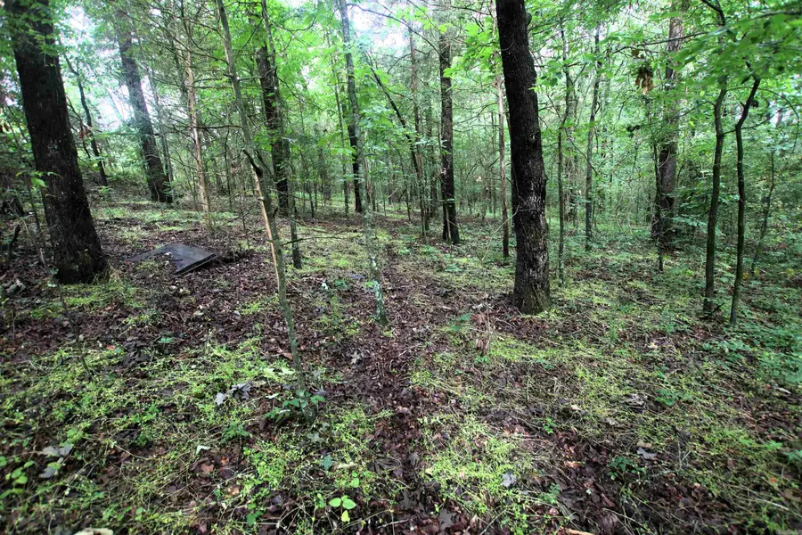 000 Ave 5 Sw Street, Atkins, AR 72823 - Image #2