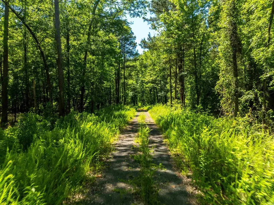 Address Withheld By Seller, Royal, AR 71968 - Image #2