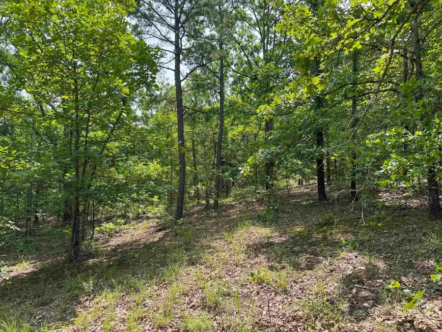 38 High Point Drive, Mayflower, AR 72106 - Image #3