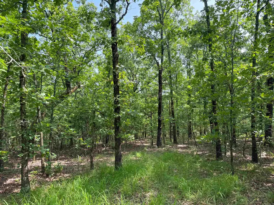 36 High Point Drive, Mayflower, AR 72106 - Image #3