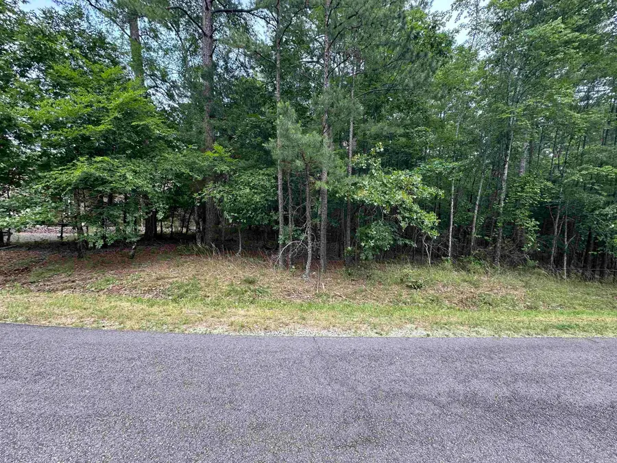 15 Salvatierra Way, Hot Springs Village, AR 71909 - Image #3