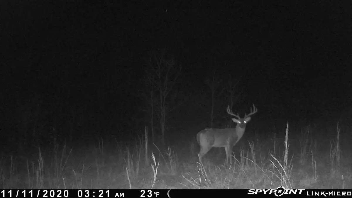 Martin Creek, Williford, AR 72482 - Image #1