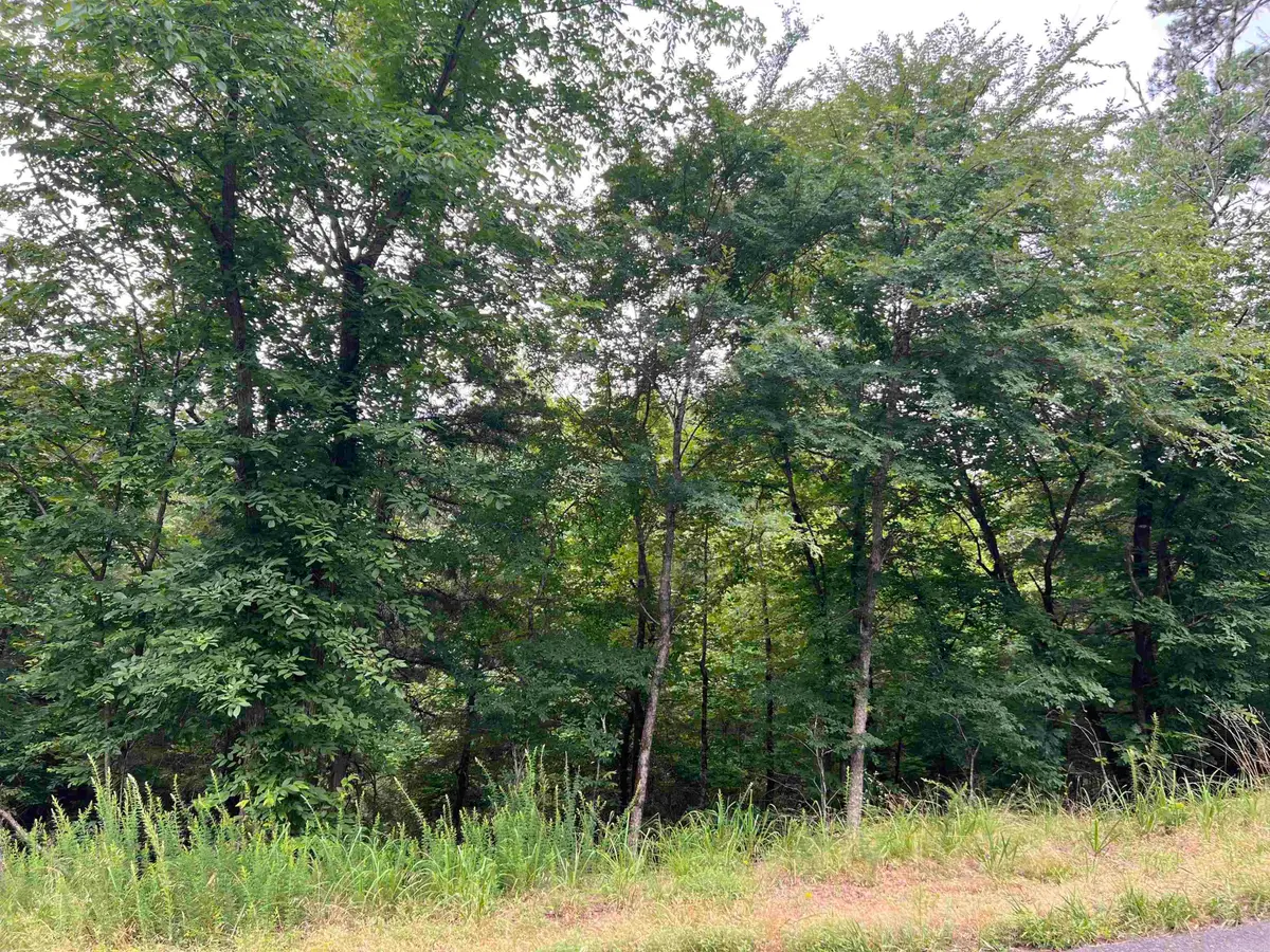 114 Pamplona Way, Hot Springs Village, AR 71909 - Image #1