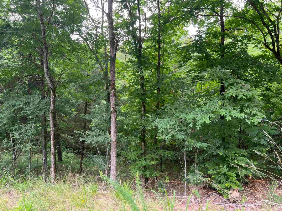 114 Pamplona Way, Hot Springs Village, AR 71909 - Image #2