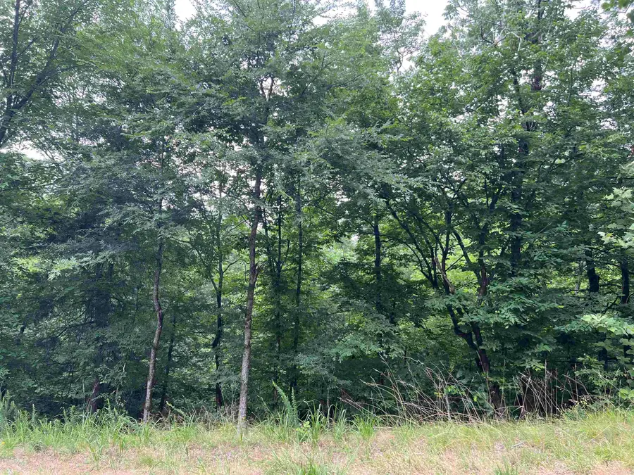 114 Pamplona Way, Hot Springs Village, AR 71909 - Image #3