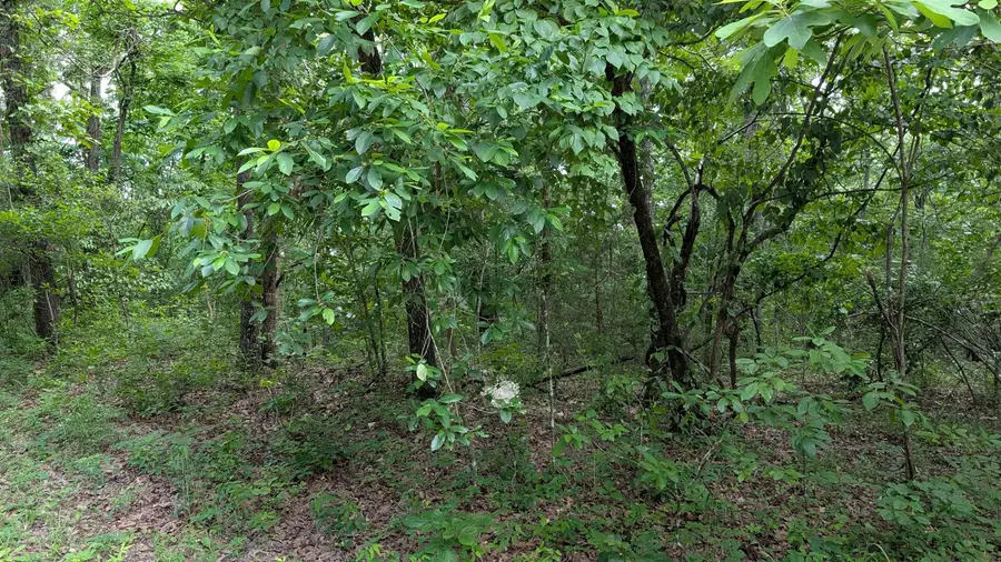 201 Cinderella Street, Horseshoe Bend, AR 72512 - Image #2